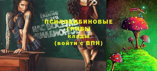 винт Костерёво