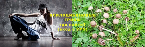 винт Костерёво