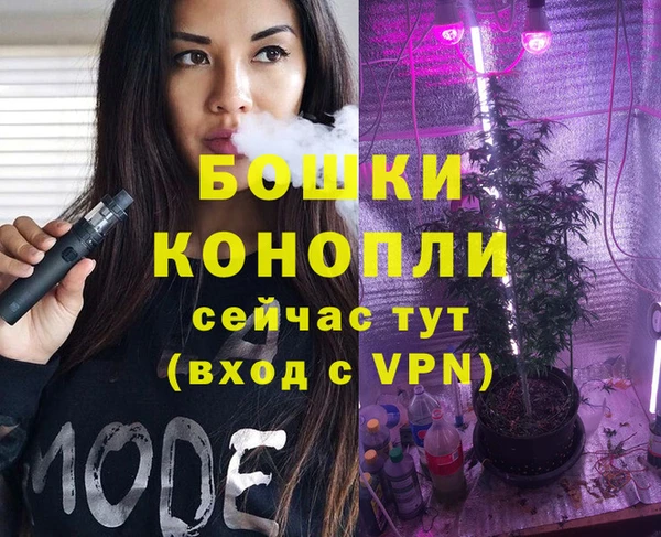 винт Костерёво