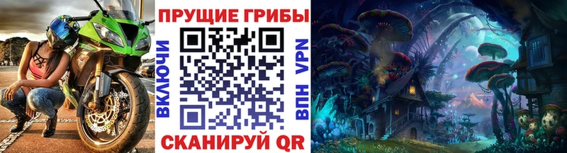 Купить закладки  Вуктыл  Псилоцибиновые грибы мухоморы 